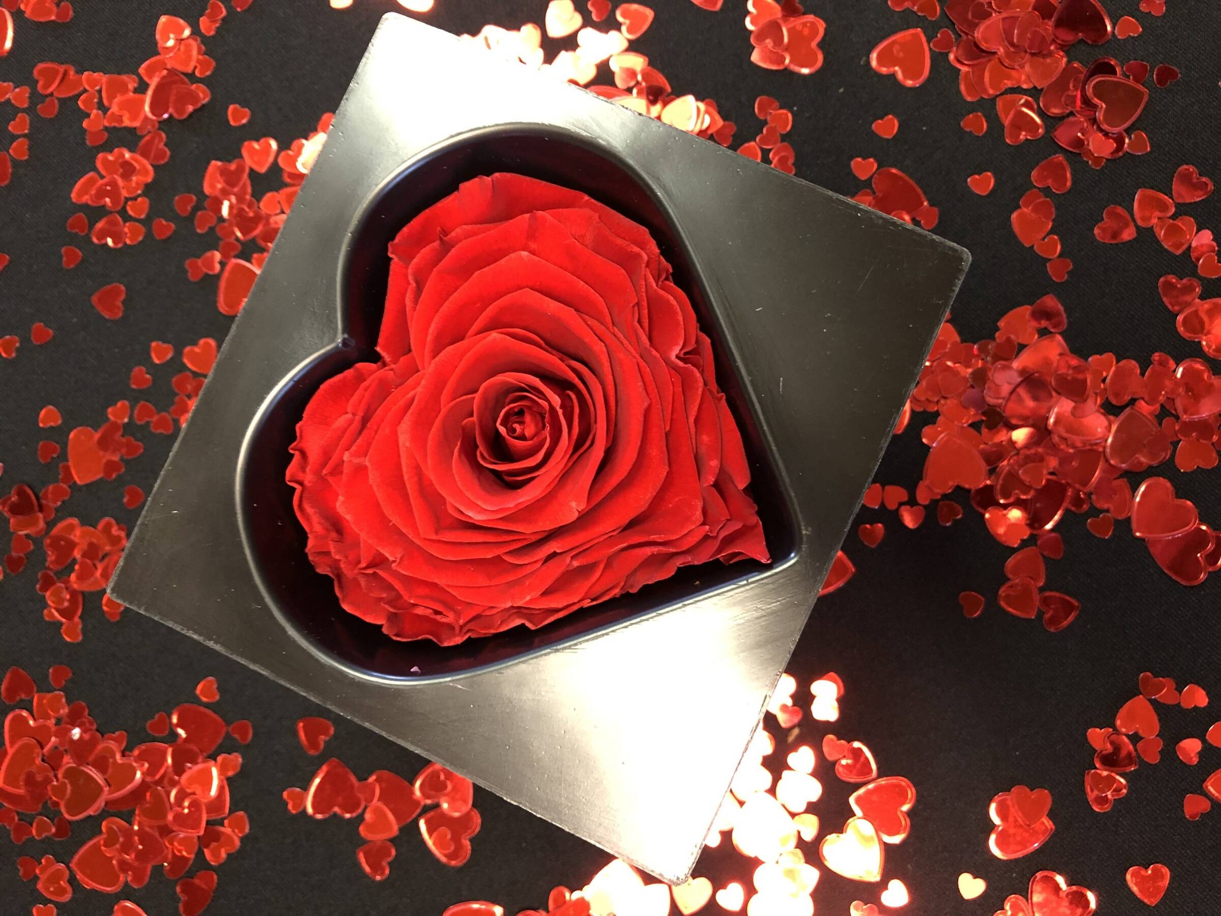 Rose éternelle Avec Collier Cœur - Cadeau Romantique Femme - Argent 925, Coffret Velours - Saint-Valentin